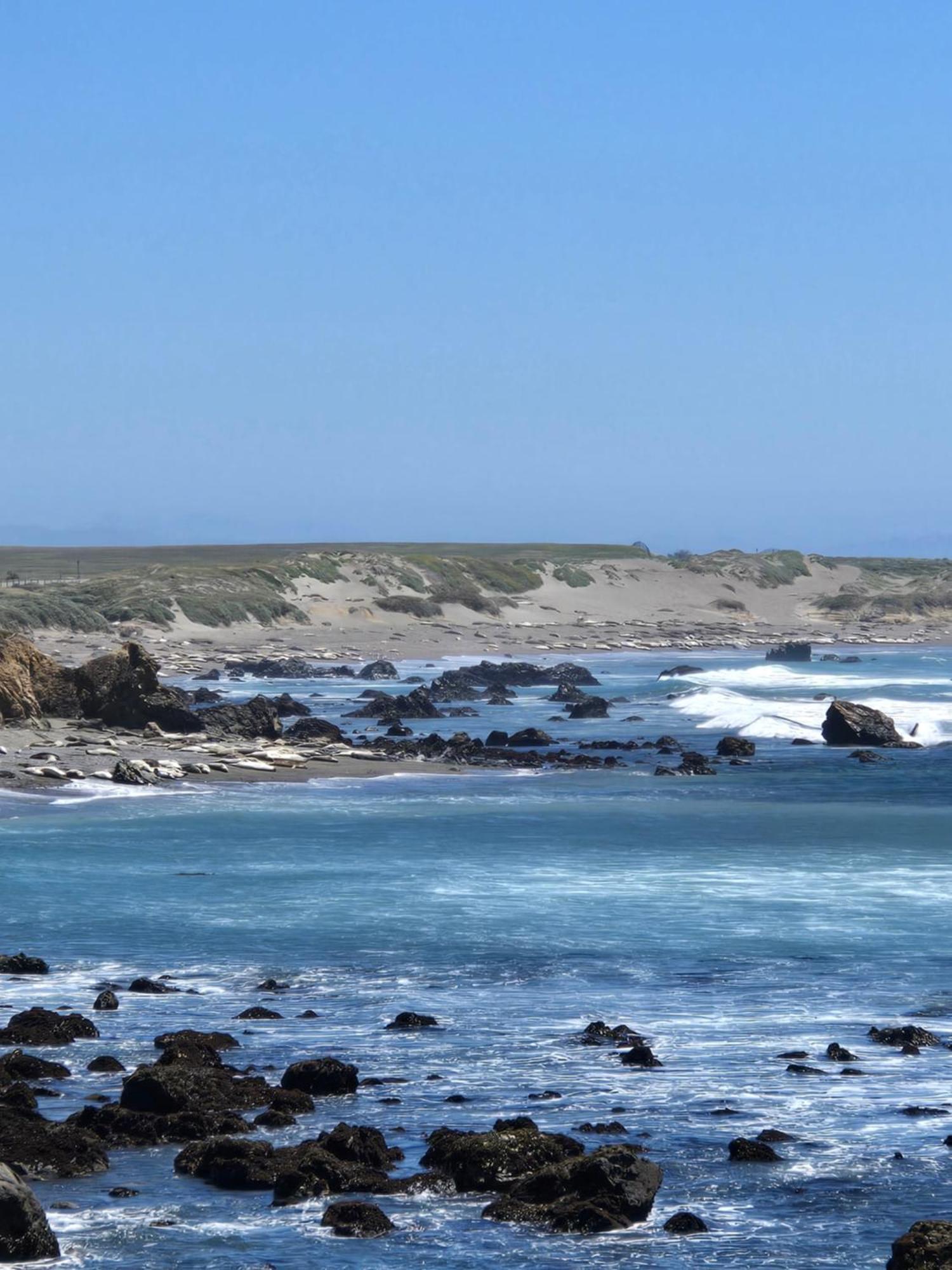 Coast Riders Inn San Simeon Exterior foto
